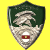 4 Commando Alpino